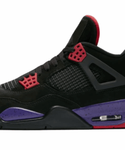 Alternative view of Jordan 4 Retro Raptors
