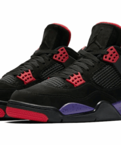 Jordan 4 Retro Raptors