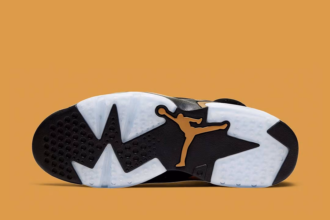 Jordan 6 Retro DMP 2020 - Image 5