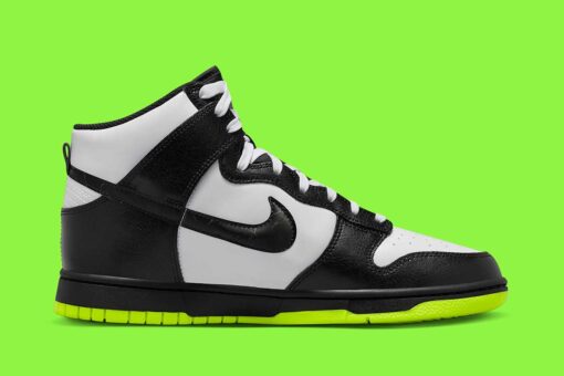 Nike Dunk High Electric Panda FD0732-100