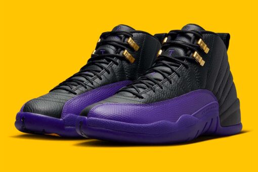 Jordan 12 Retro Field Purple CT8013-057