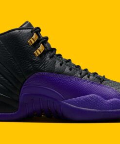 Jordan 12 Retro Field Purple CT8013-057