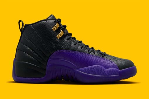 Jordan 12 Retro Field Purple CT8013-057