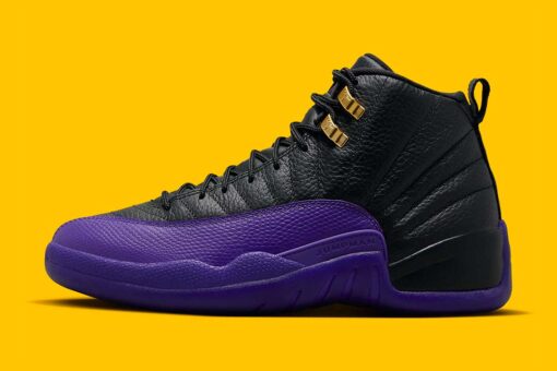 Jordan 12 Retro Field Purple CT8013-057