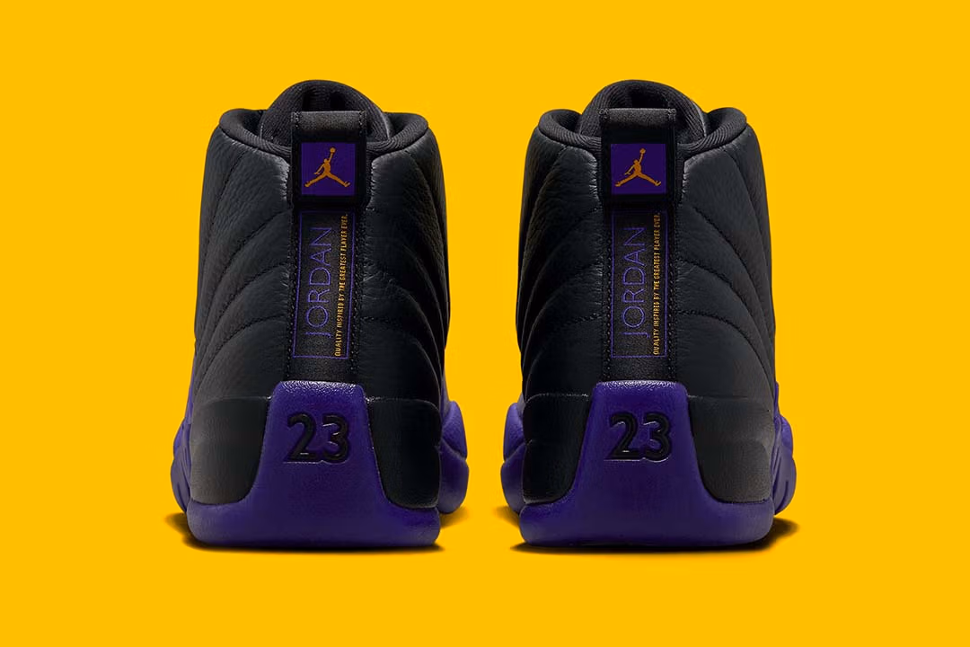 Jordan 12 Retro Field Purple CT8013-057