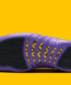 Jordan 12 Retro Field Purple CT8013-057