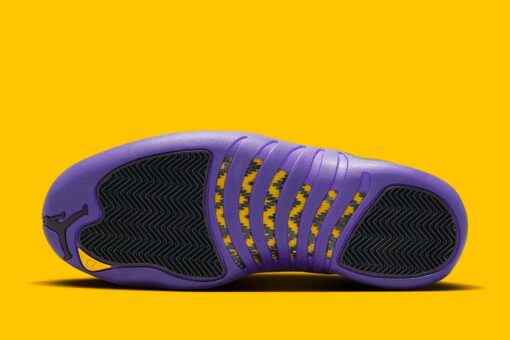 Jordan 12 Retro Field Purple CT8013-057