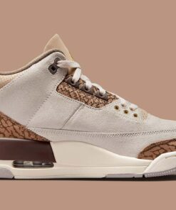 Air Jordan 3 Palomino CT8532-102