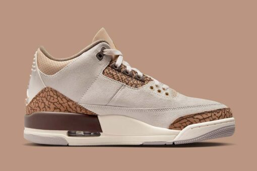 Air Jordan 3 Palomino CT8532-102