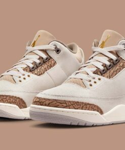Air Jordan 3 Palomino CT8532-102