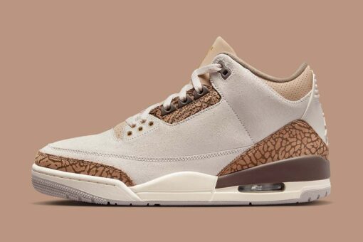 Air Jordan 3 Palomino CT8532-102