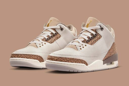 Air Jordan 3 Palomino CT8532-102