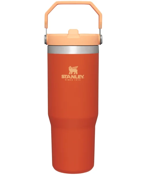 Tigerlily Stanley 30 Oz. IceFlow Flip Straw Stainless Steel Vacuum Insulated Tumbler