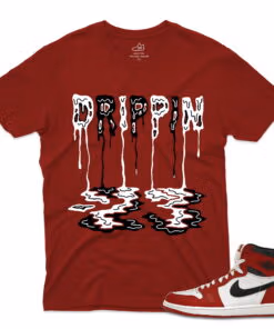 J1 Retro High OG Lost and Found - T-Shirt DRIPPIN Red