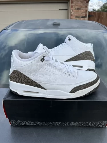 Jordan 3 Retro Mocha 2018 photo review