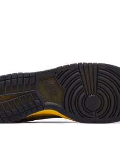 Dunk Low What the Duck Home University of Oregon PE HV1454-001