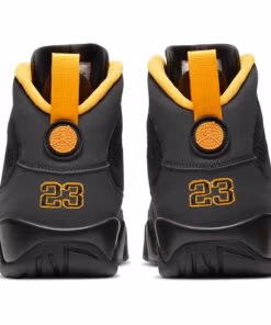 Air Jordan 9 University Gold CT8019-070