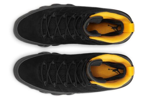 Air Jordan 9 University Gold CT8019-070