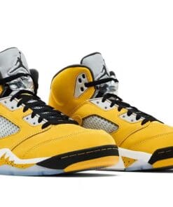 Jordan 5 Retro Tokyo T23 2025 IO3372-700