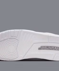 Jordan 3 Retro Pure Money 2025 CT8532-111