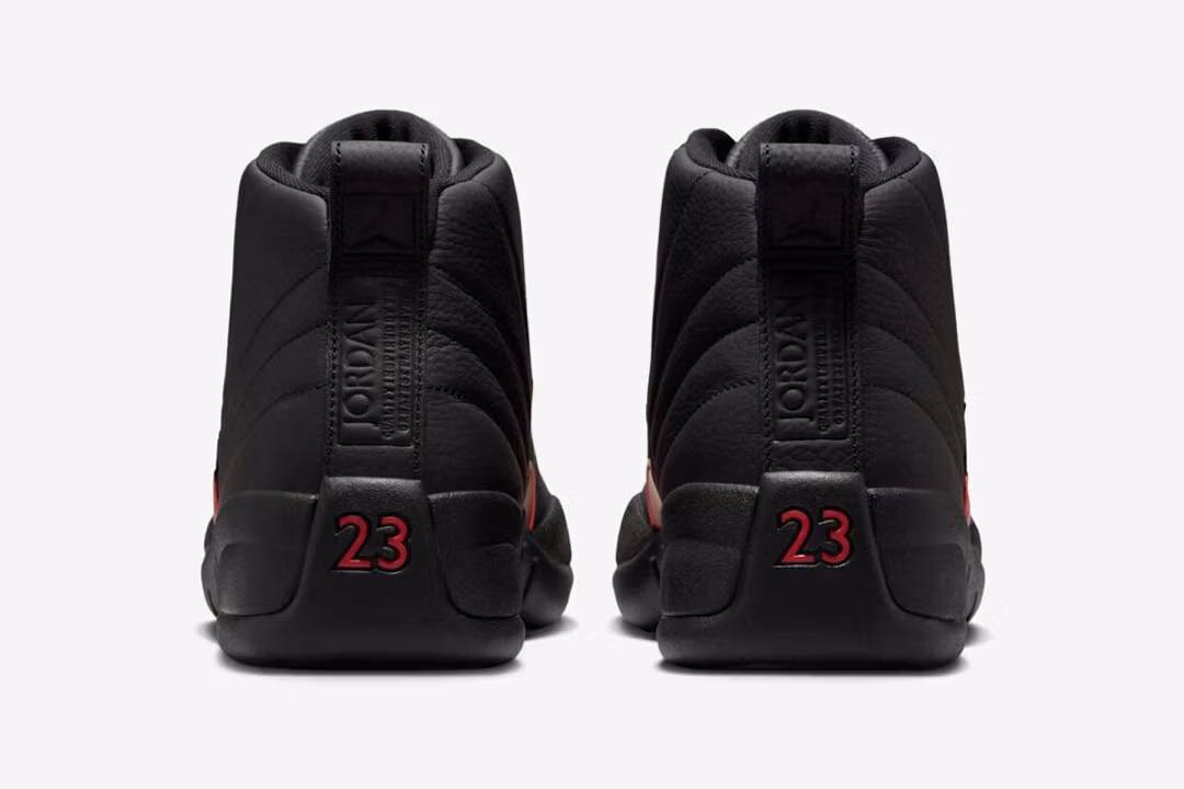 Jordan 12 Retro Bloodline CT8013-003
