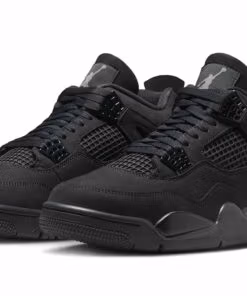 Jordan 4 Retro Black Cat 2025 FV5029-010