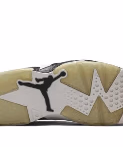 Jordan 6 Retro Oreo CT8529-108