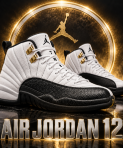 Air Jordan 12