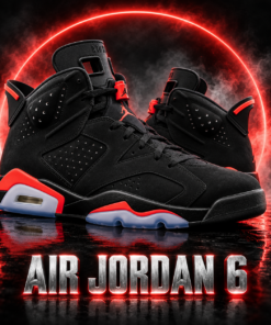 Air Jordan 6