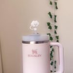 Rose Quartz Stanley 40 Oz. Quencher H2.0 FlowState Stainless Steel Vacuum Insulated Tumbler photo review