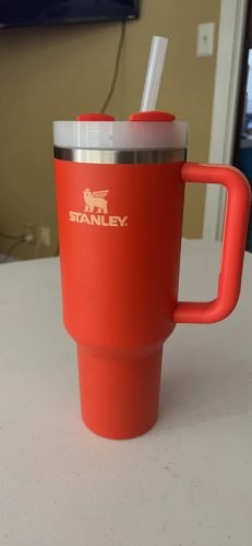 Tigerlily Stanley 40 Oz. Quencher H2.0 FlowState Stainless Steel Vacuum Insulated Tumbler photo review