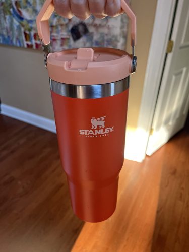 Tigerlily Stanley 30 Oz. IceFlow Flip Straw Stainless Steel Vacuum Insulated Tumbler photo review