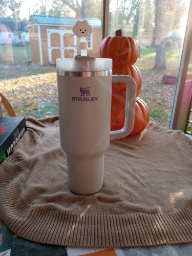 Fog Stanley 40 Oz. Quencher H2.0 FlowState Stainless Steel Vacuum Insulated Tumbler photo review